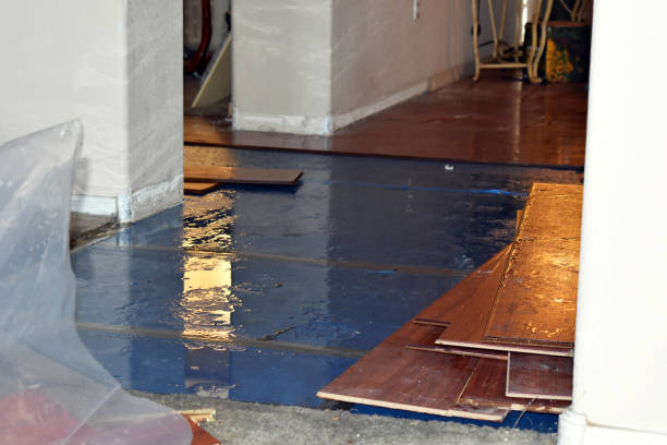 Professional Structural Drying And Dehumidification technician working in Wesley, ME